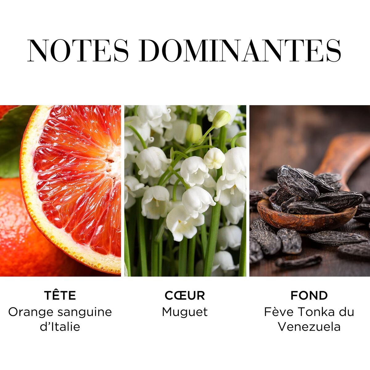 V3H511AF47CCCDB53B8BAA0CFC2ABBFB1F7R7472962P9