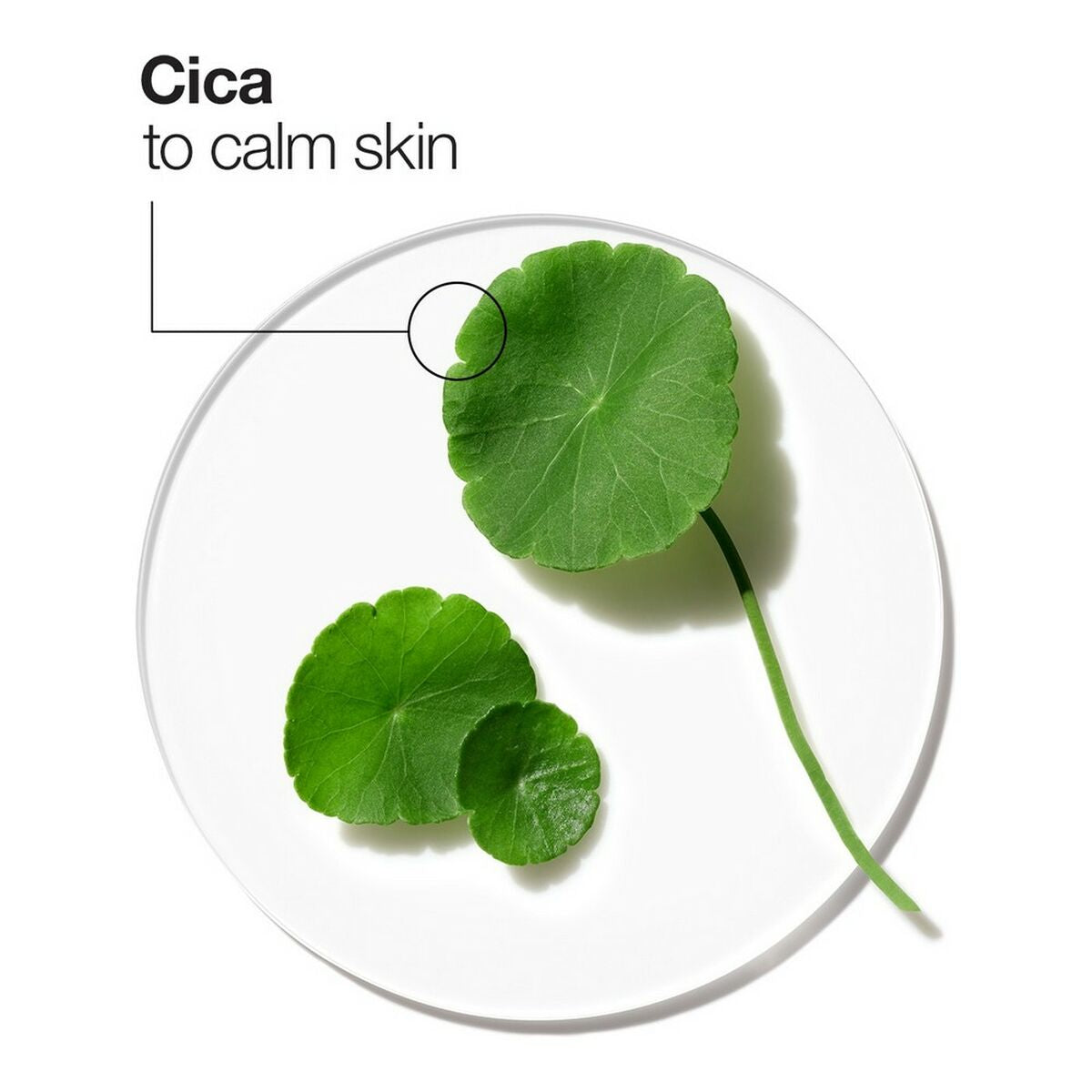 V15H42A85657CCC437D9C342E8CCFE9599BBR3255621P6