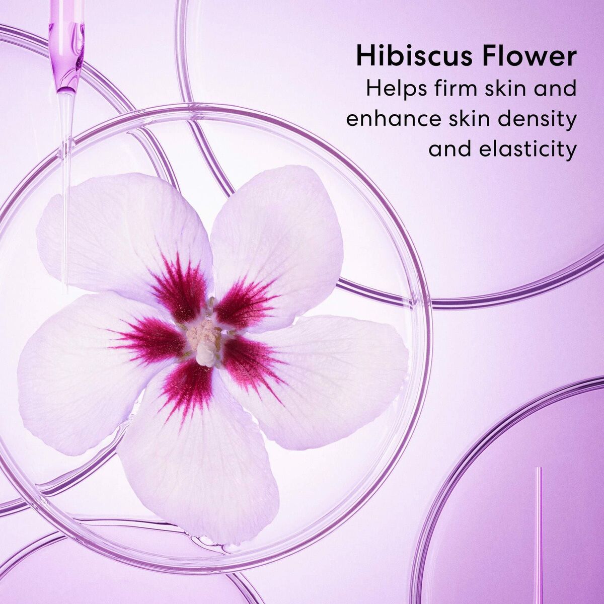 V7HE1D60F48C2981CCE8A9A116C05EFF5E0R3972764P3