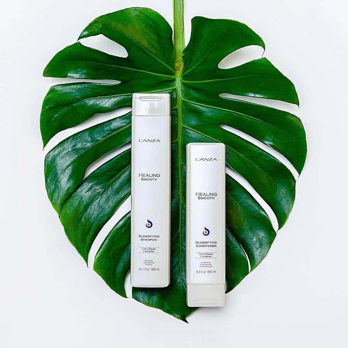 V5H07167916D76A4313827BC772EE39450FR4510227P4