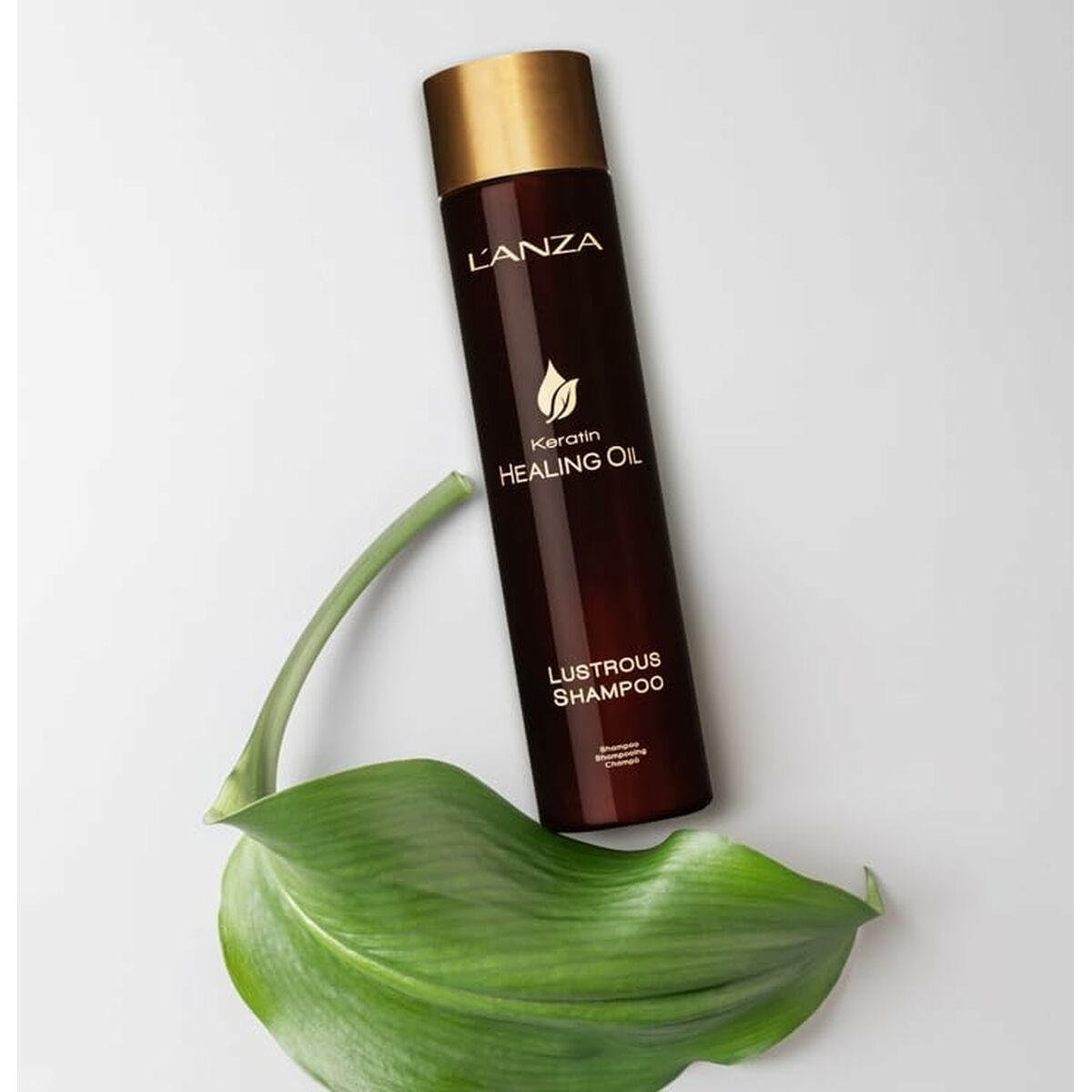 V4HD54FE59D1D9E039DA1085568C236A45ER6094372P6