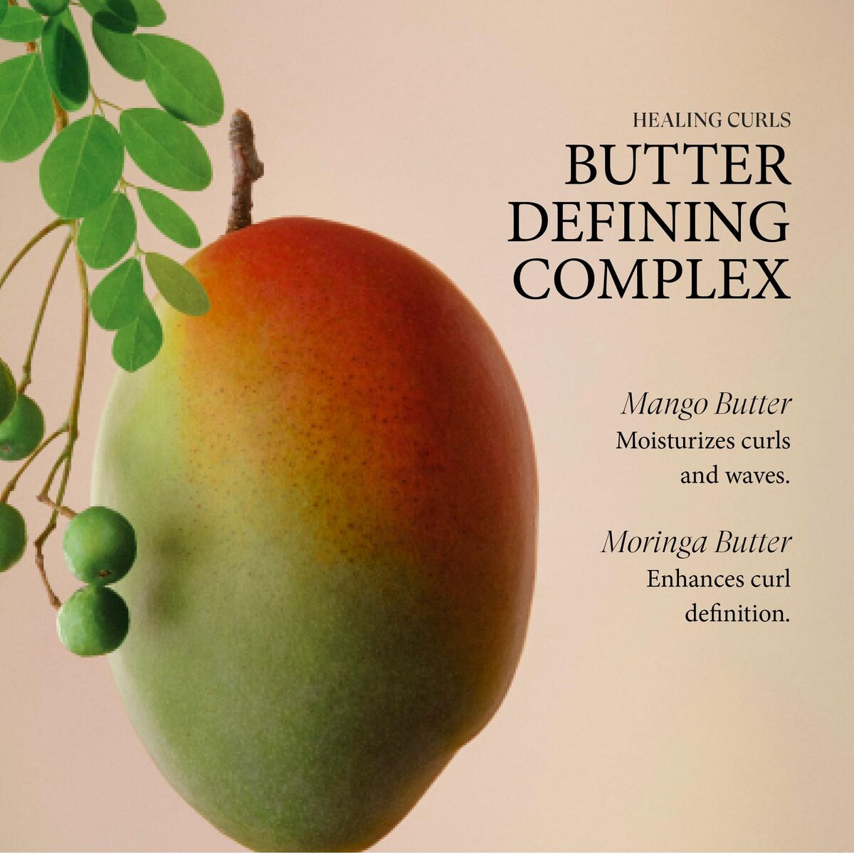 V3H6FC987B8D21B30E1FB2D2DD1B5FB8F0BR7472893P6