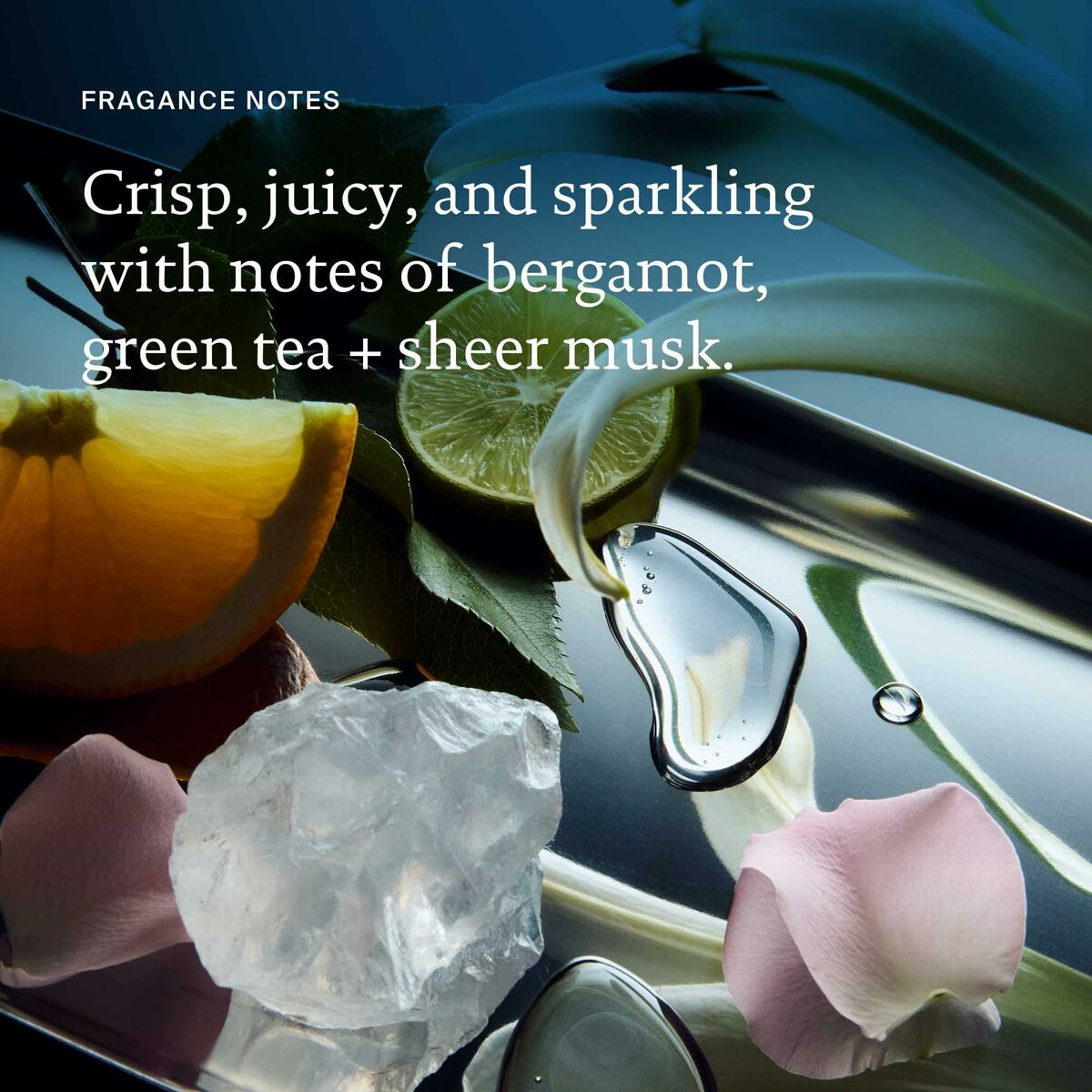 V4HB284773150512069CB879D99F520C2BER6240983P8