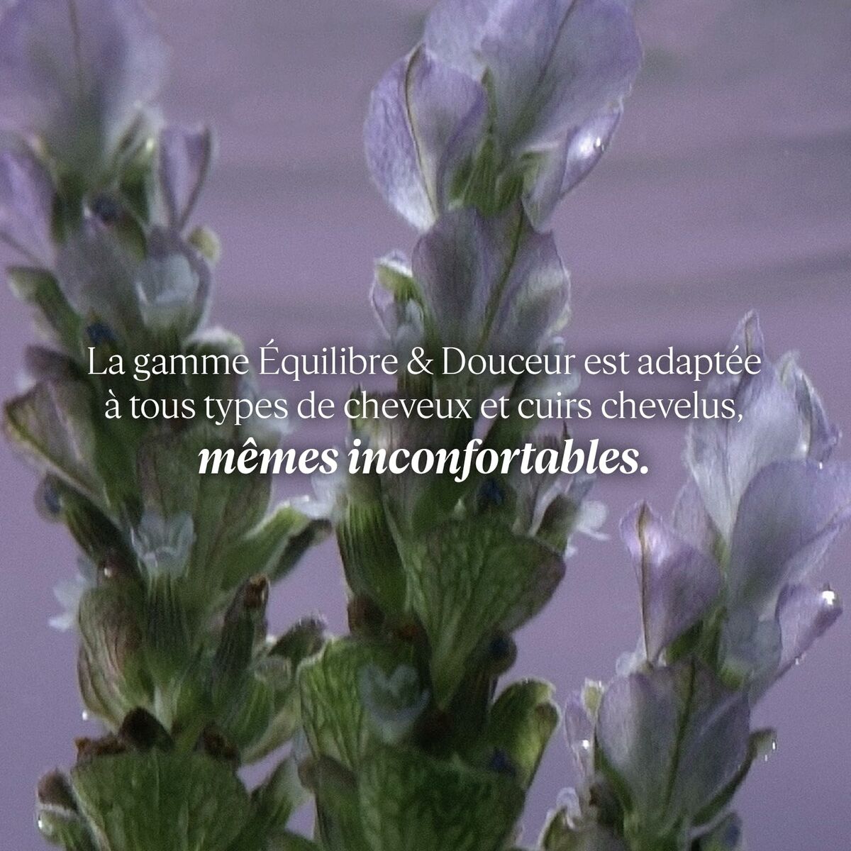 V4H6FE93F360CC17D9D2443F1F8713E4E6AR6240511P3