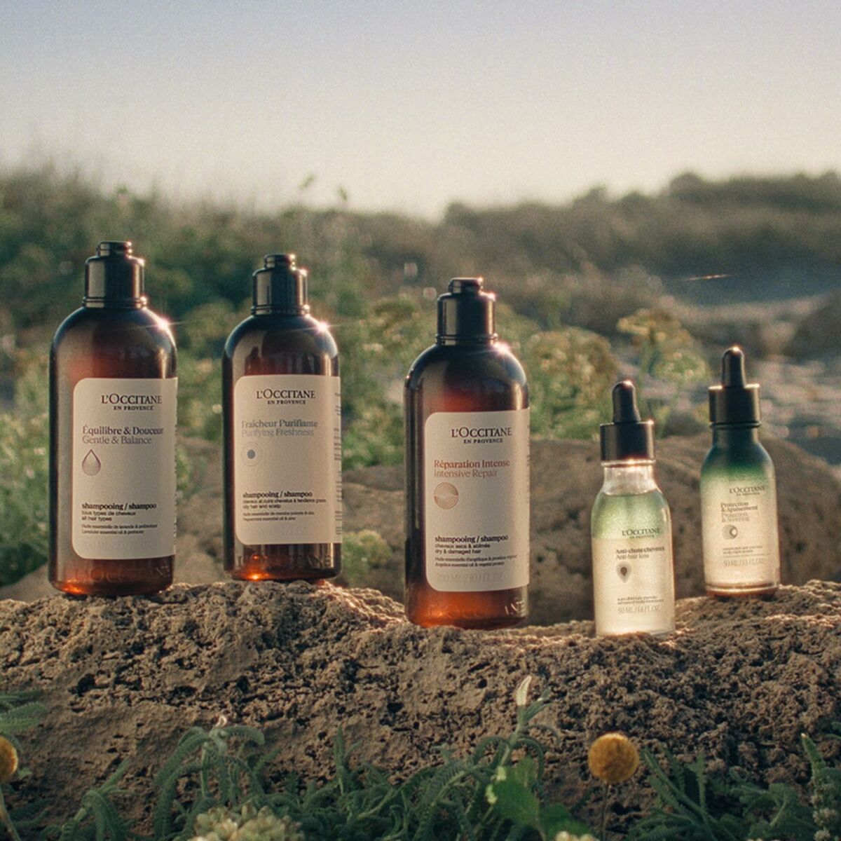 V4H34064235A837E1209A7F4976DF671B88R6240515P7