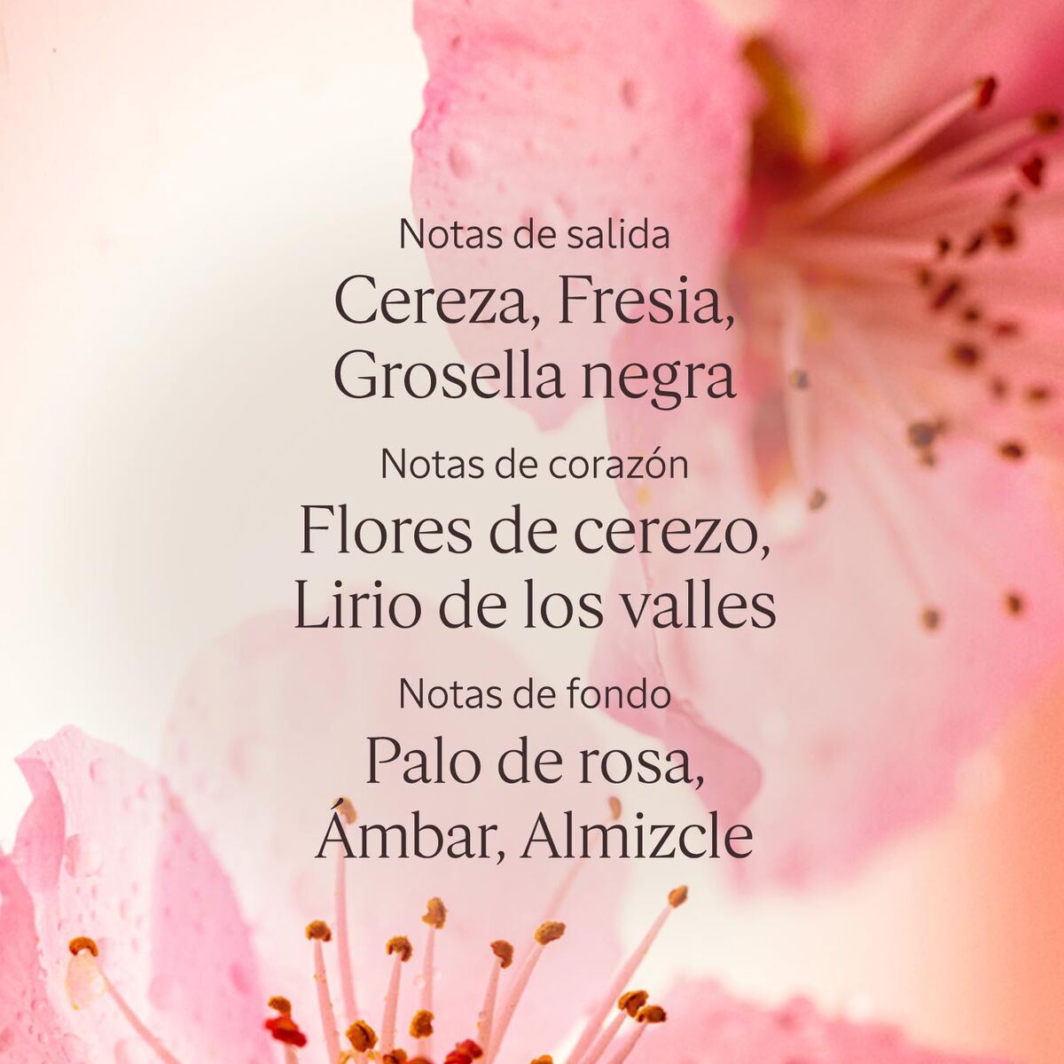 V3H206A9050C818A88AFFF833B27CE6839CR7407083P4