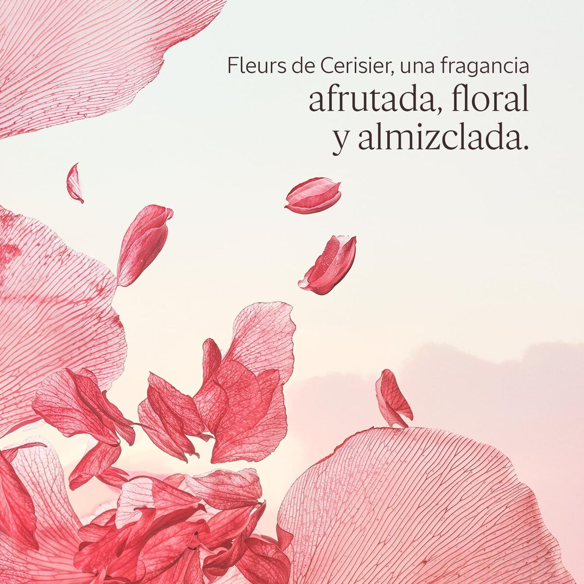 V3HE6BF647FC45E8DAFF69087E238D255F4R7407087P3