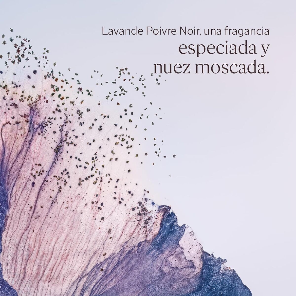 V3H5EB50324ED9E26C42F1B846D7E59E52FR7407113P3