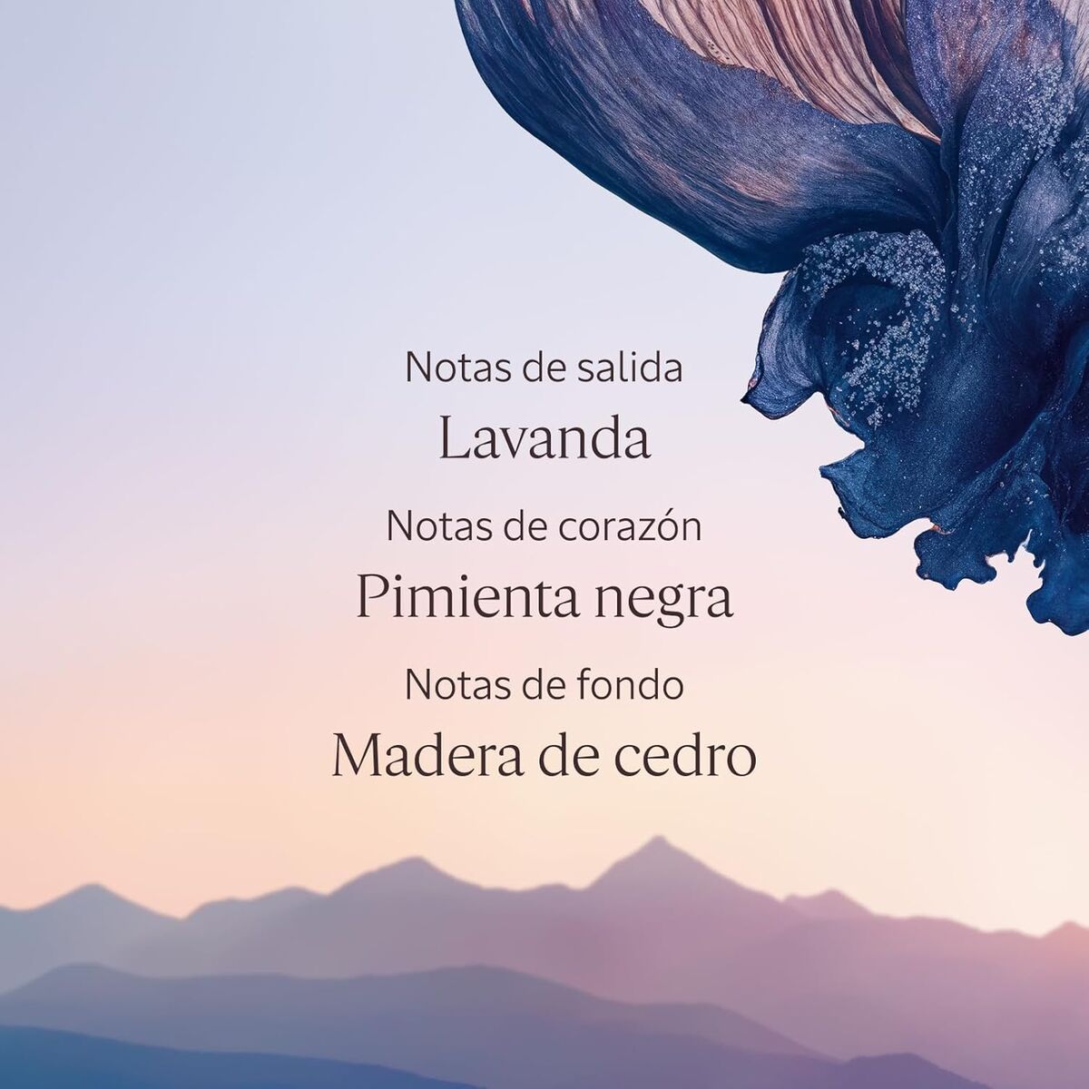 V3HFDB3694D77618A5F744BDF3FFB4F7E27R7407110P3