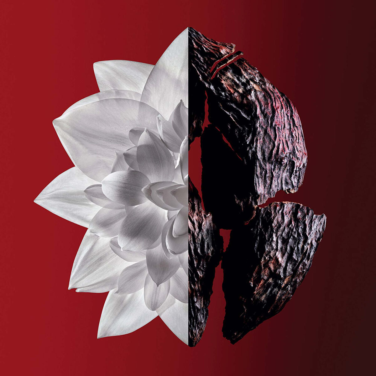 V5HFC5BB530DCFFEC225605BC1D62A14F7ER5306328P2