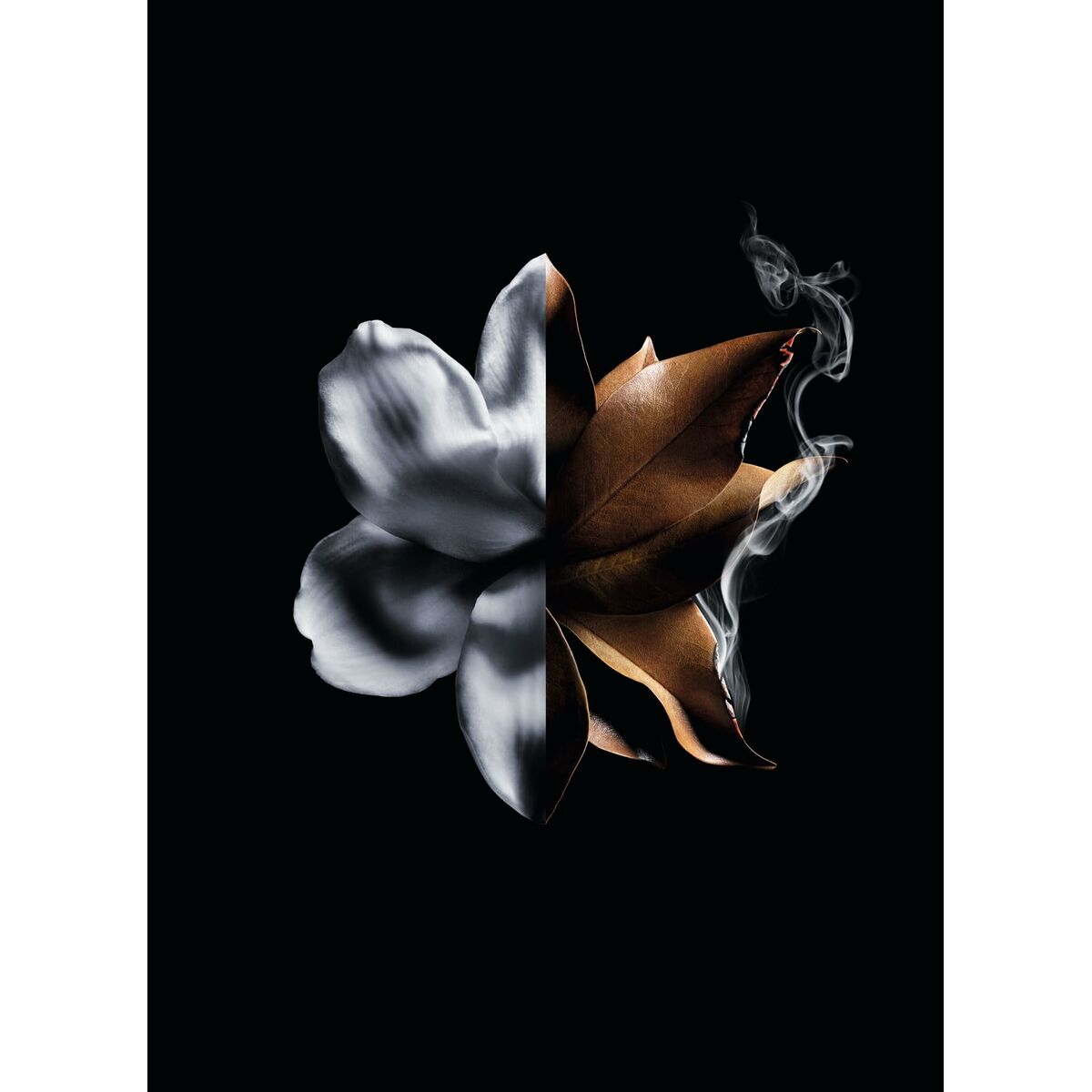 V4HA94868E4507C3D603F80BBACB150FA25R6240162P6