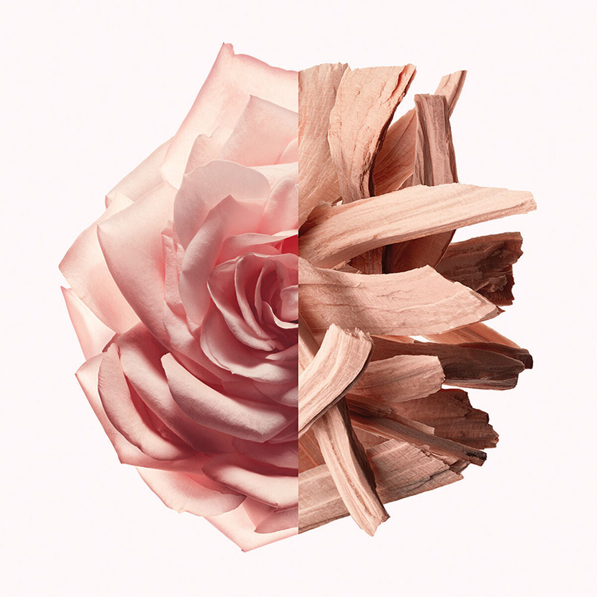 V5H1C88ADB70B7F914E1FF9F0A5FA438955R5674675P2