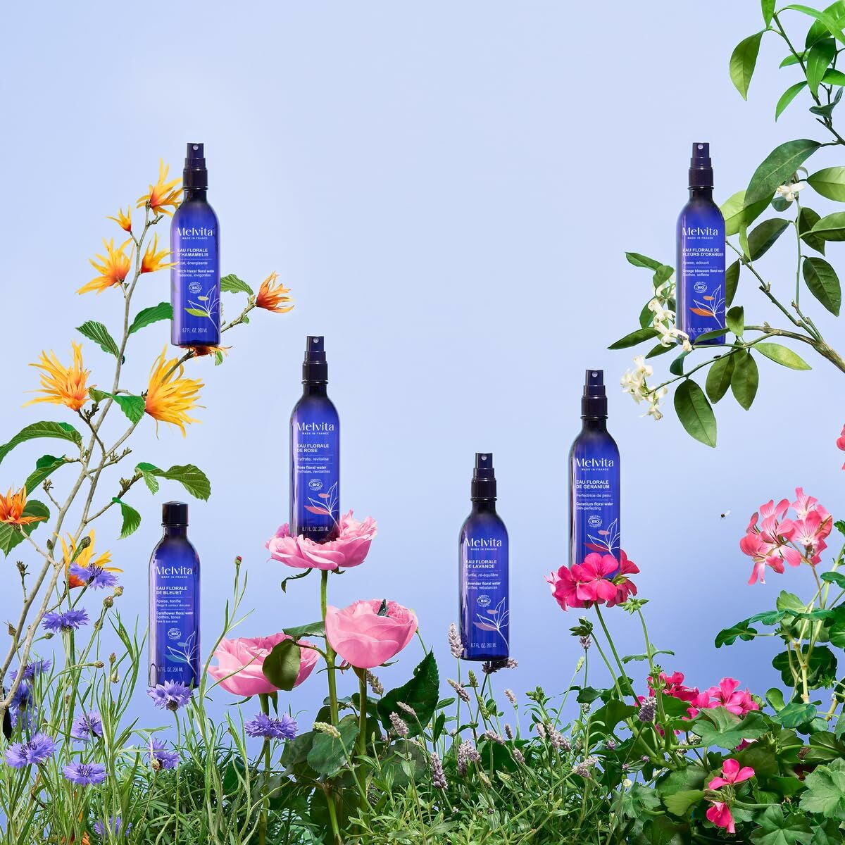 V4H19E1845824C7FD37287A8C5BA78F85F3R6241722P6