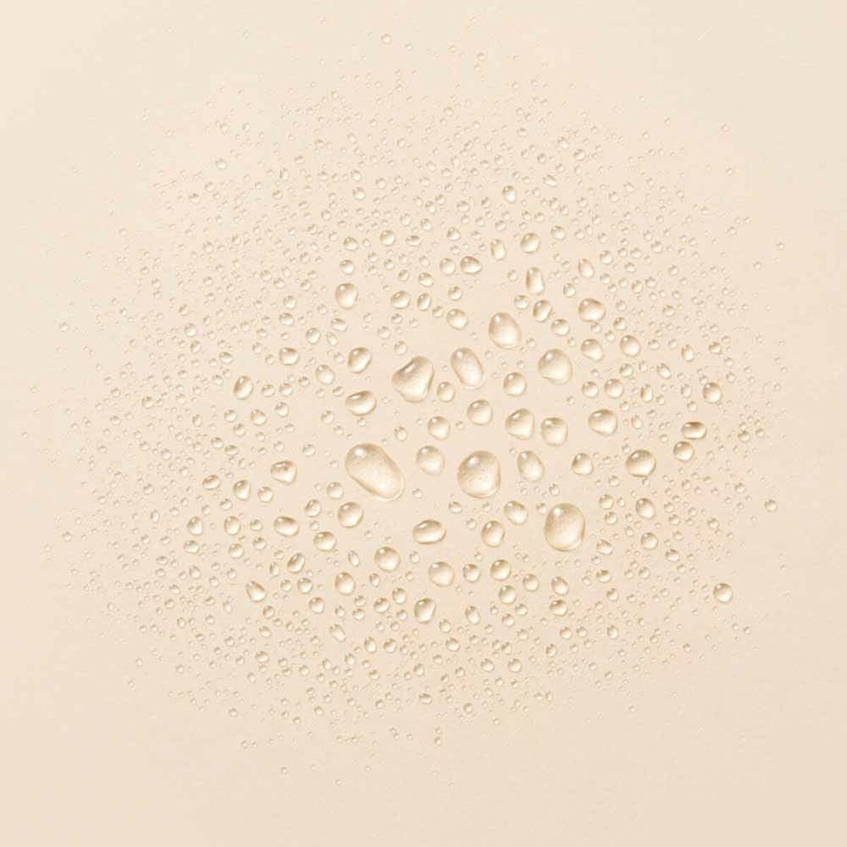 V4HB2F9526727CCA7C67889DCA5C48E9CF9R5625681P2