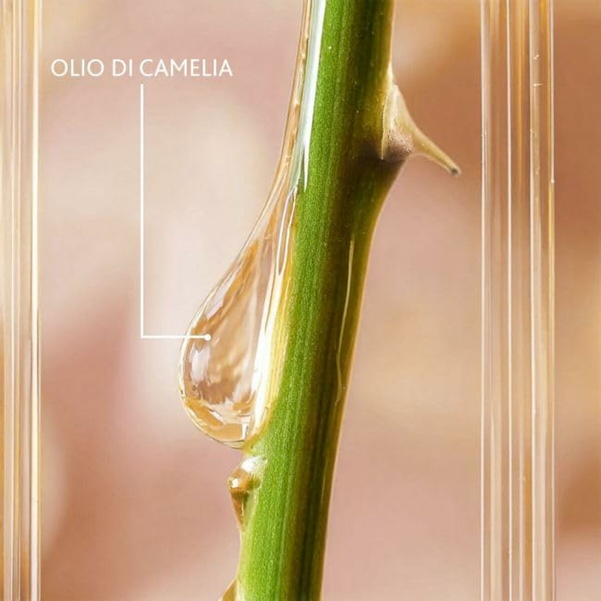 V4H85101D389947B8B428C66C68ED9659BBR5608847P2