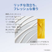 V3H0C0DEF617321711902688B177171A07BR3884371P1