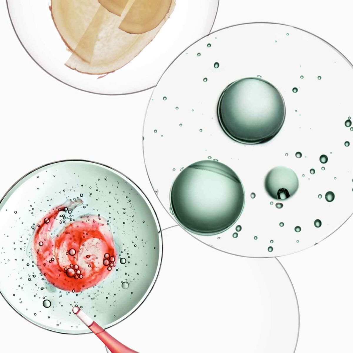 V3H306B3618C1A78FD1BA0D2D02FD911DA2R7095581P3