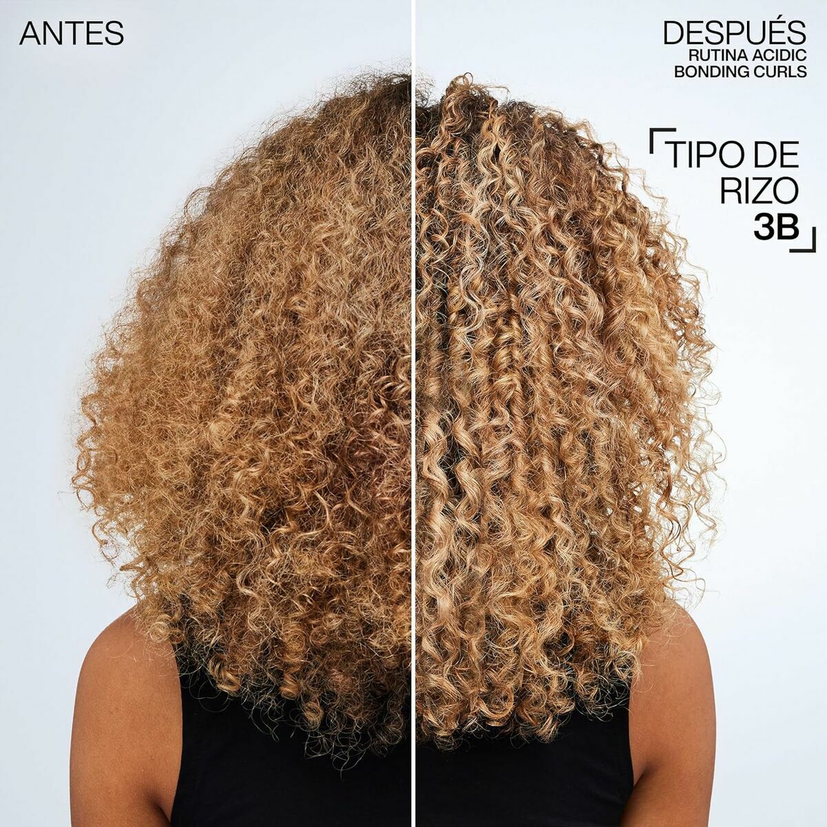 V4H92C33B3A317F055F2B48025D6DAD84F0R5681030P3