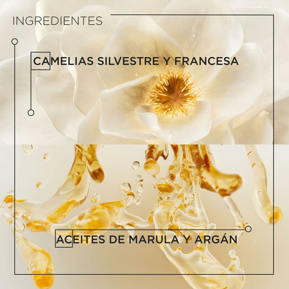 V4HA783B414DF672368C37D9335987C9173R5610723P4