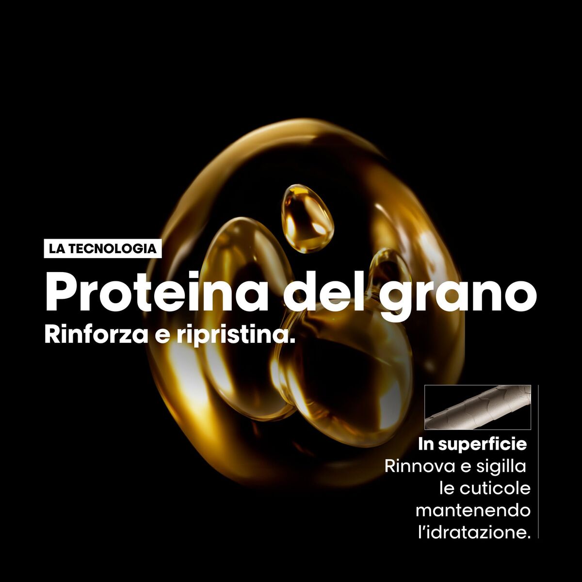 V3H39BC5161FE7CD749DE6E24E51EC4A989R7418275P6