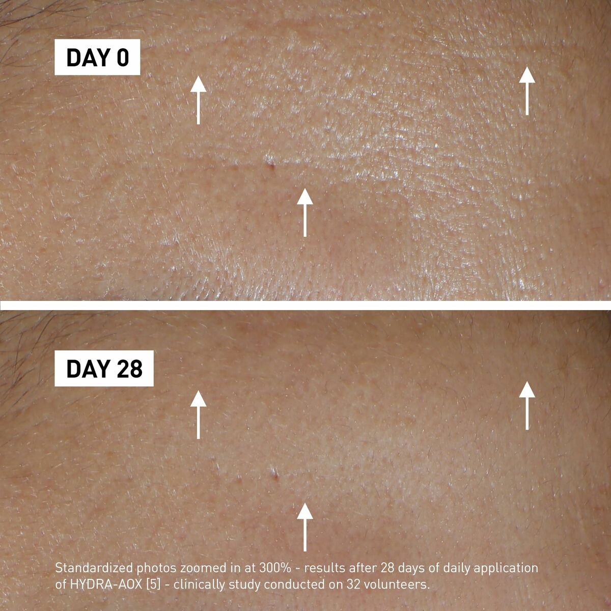 V4HBAD3F3C7443398A528917F3242724C6FR5806135P4