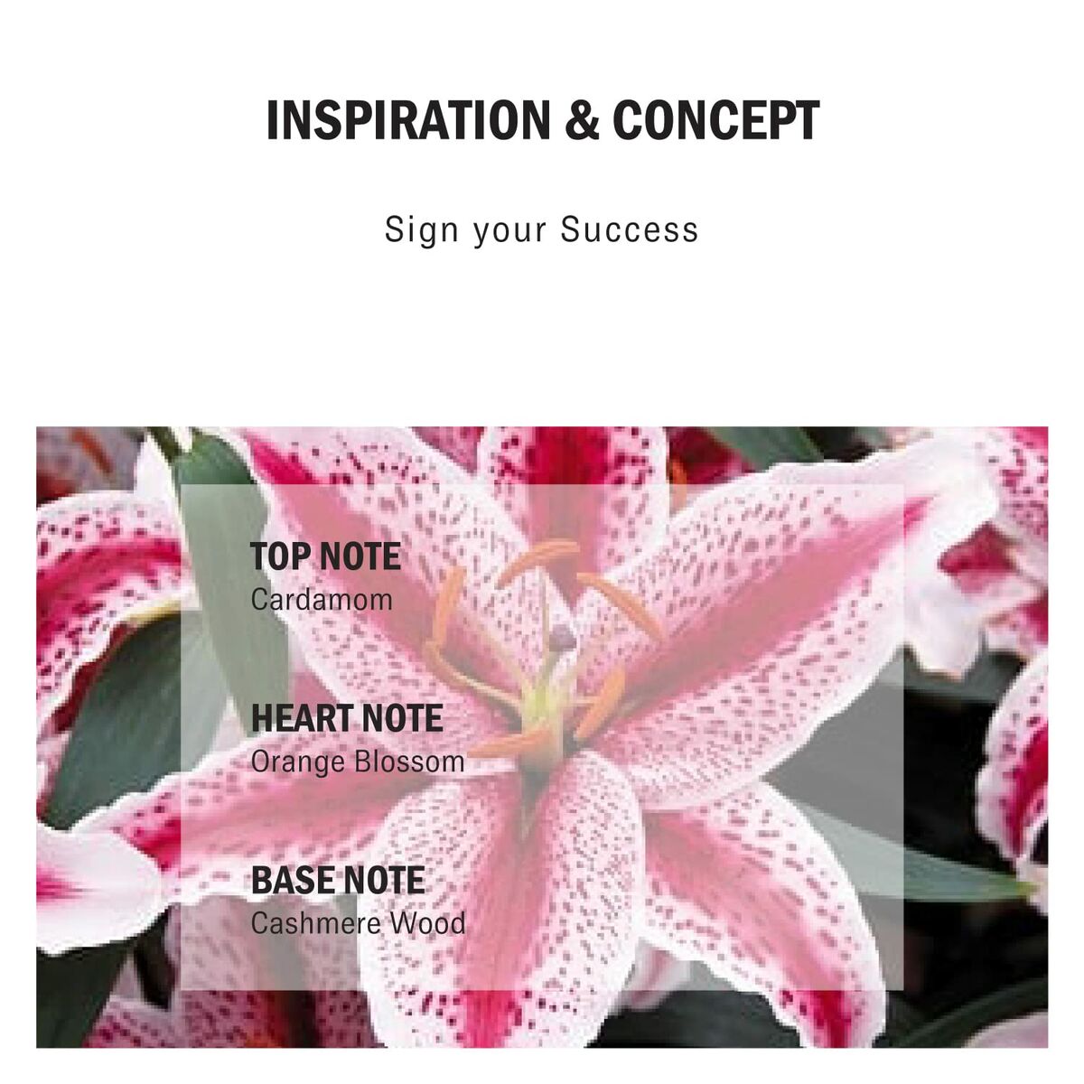 V6H7F6E91B81F14B89C43129FA3F1E51B58R7059174P3