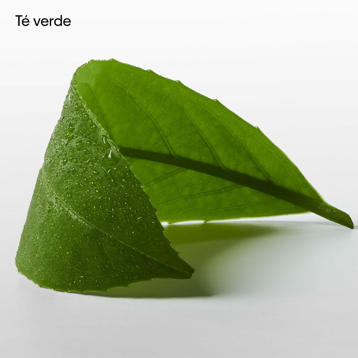 V3HB738E6033736BE3DBFEE2A85E8752BD4R7125024P8