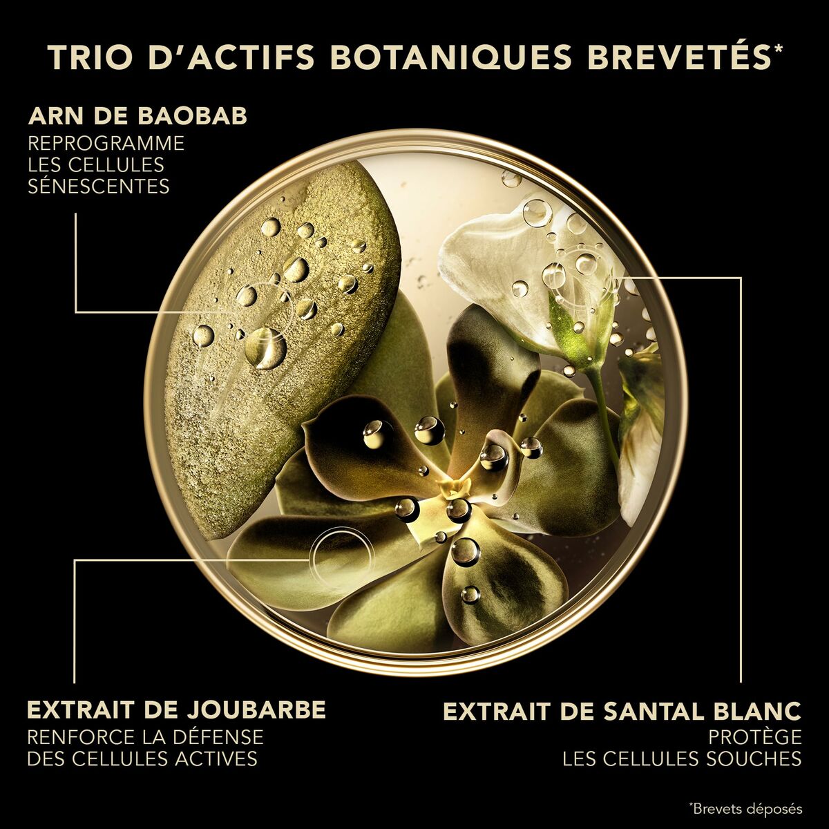 V3H8980CE47F0C81C7715634399B25A50E6R7239872P3