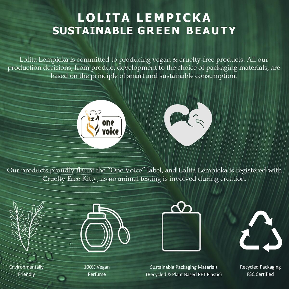 V2HA80BA07FEC1AE56587CAA2C09E13F072R7550224P6