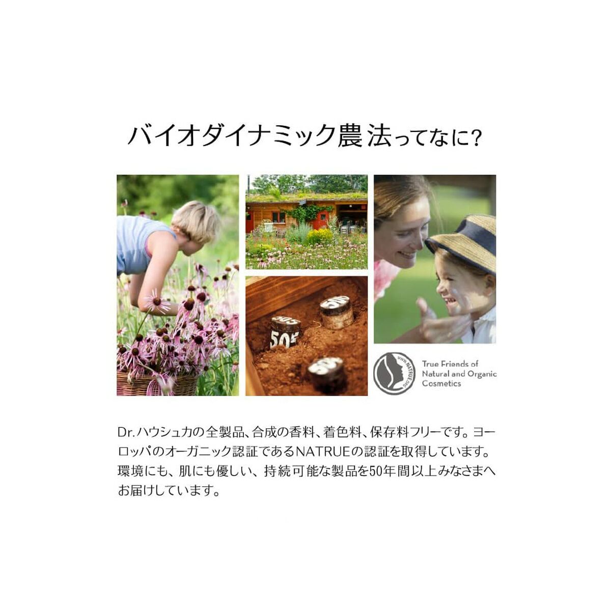 V3H2850815121C9FD9438337F3E5E2FF4B6R7005510P4