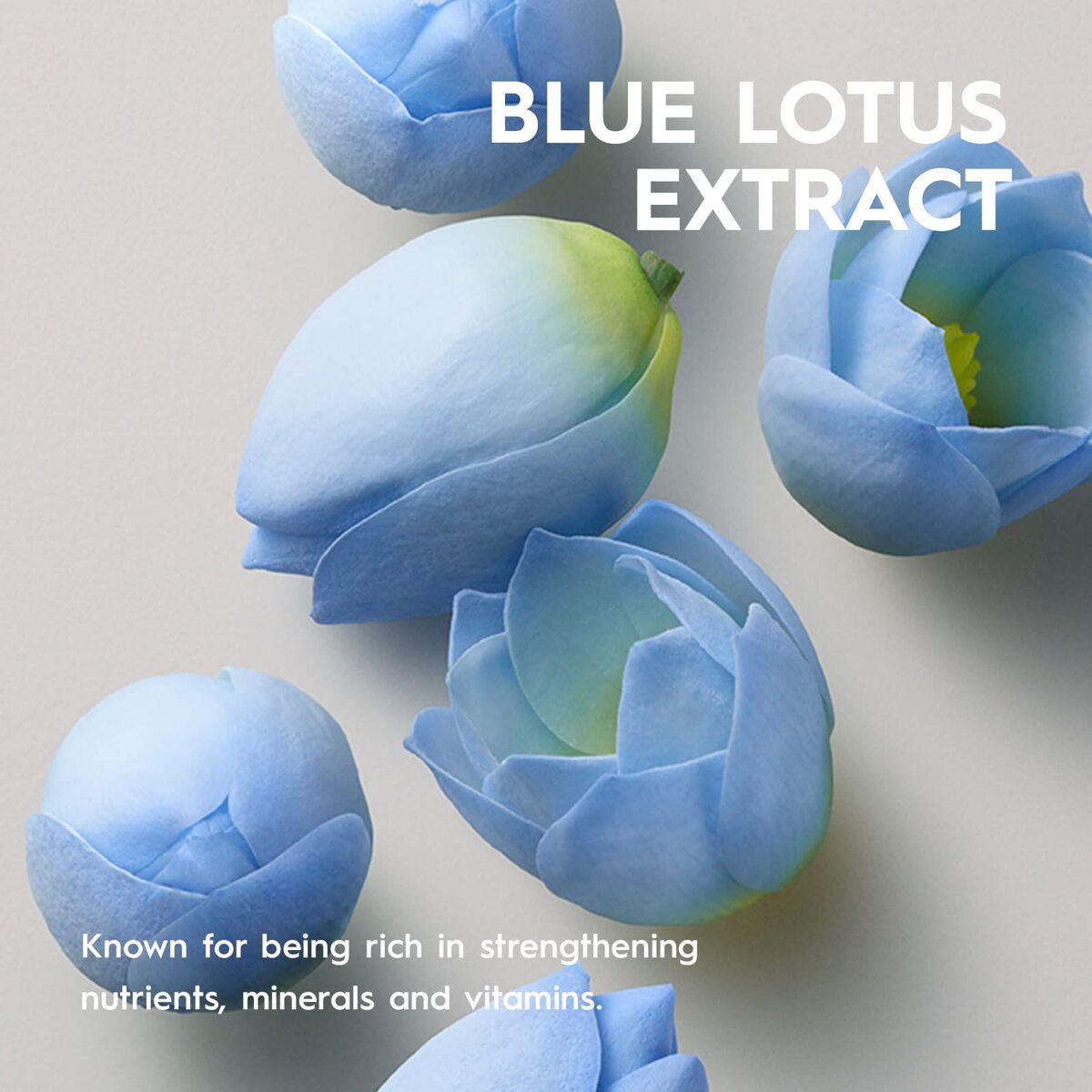 V3HED197BFBB22935555D4D523288F4E233R7388195P8