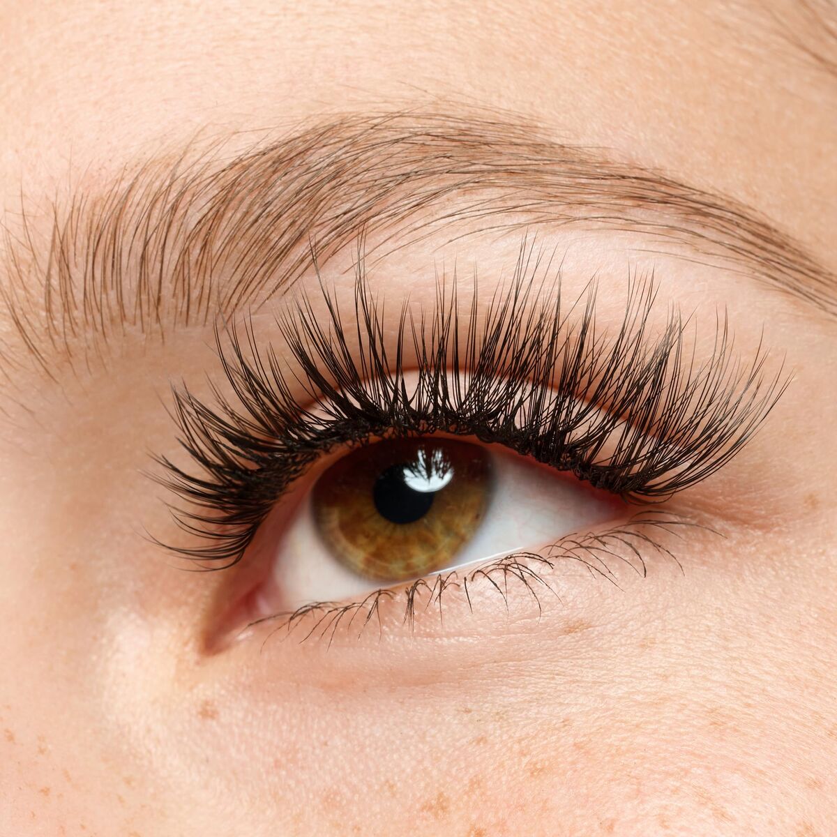 V3HC6E456C49ED282FAE8733CE24ECBA9E5R7435095P6