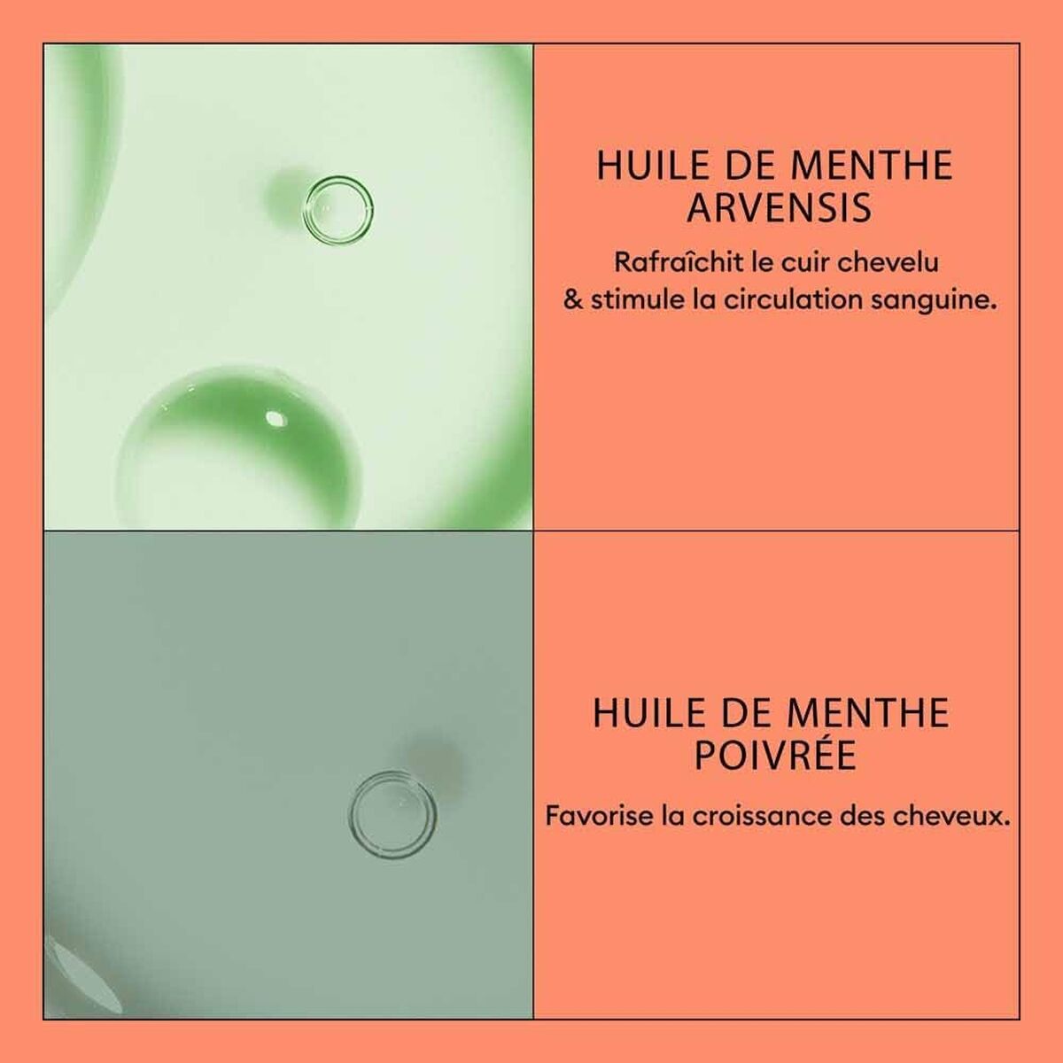 V3HB60406545DEAD6573675A20B29B1212DR7509610P4