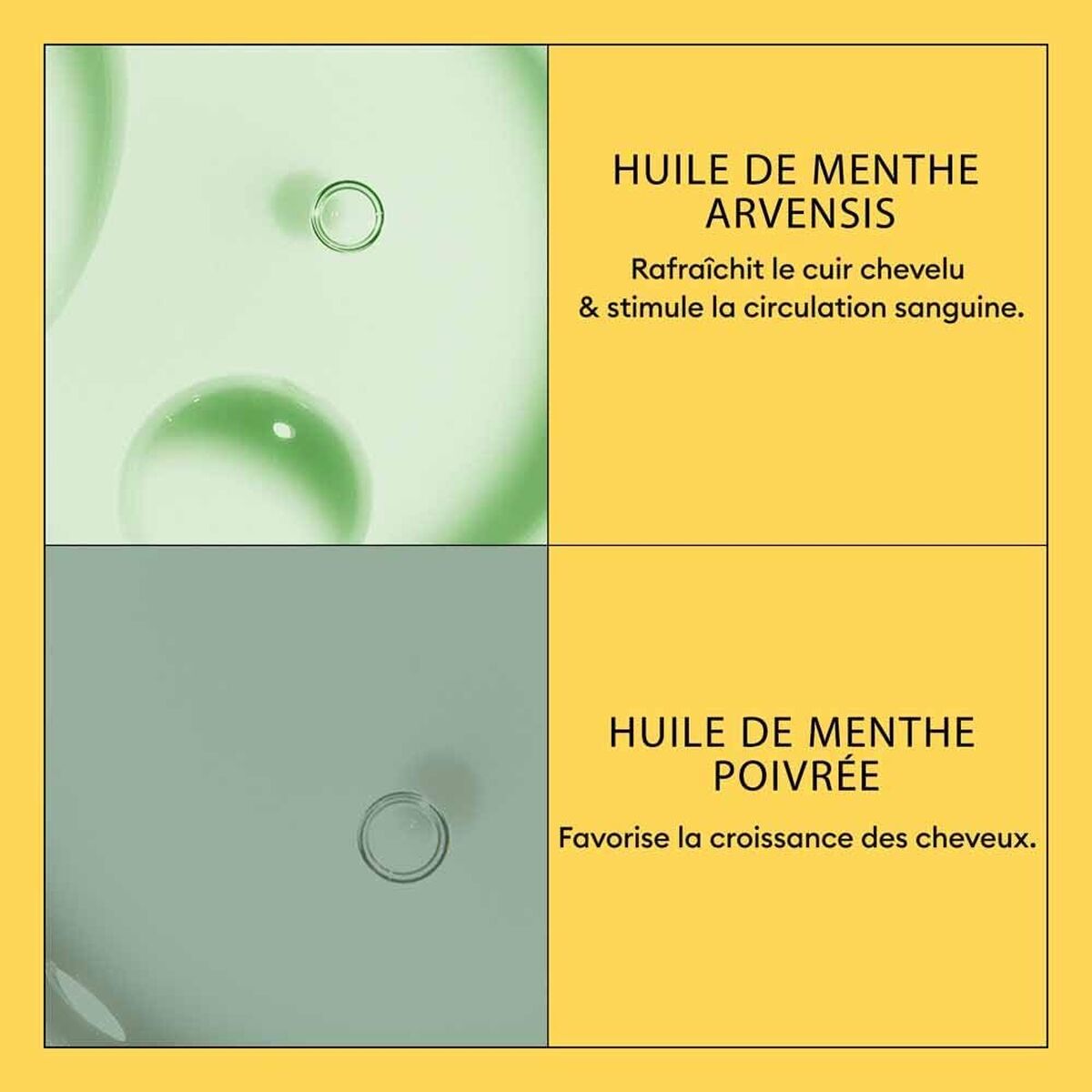 V3H3D05A0AC95CDF0CC80C20380DFE8E3CDR7509596P4