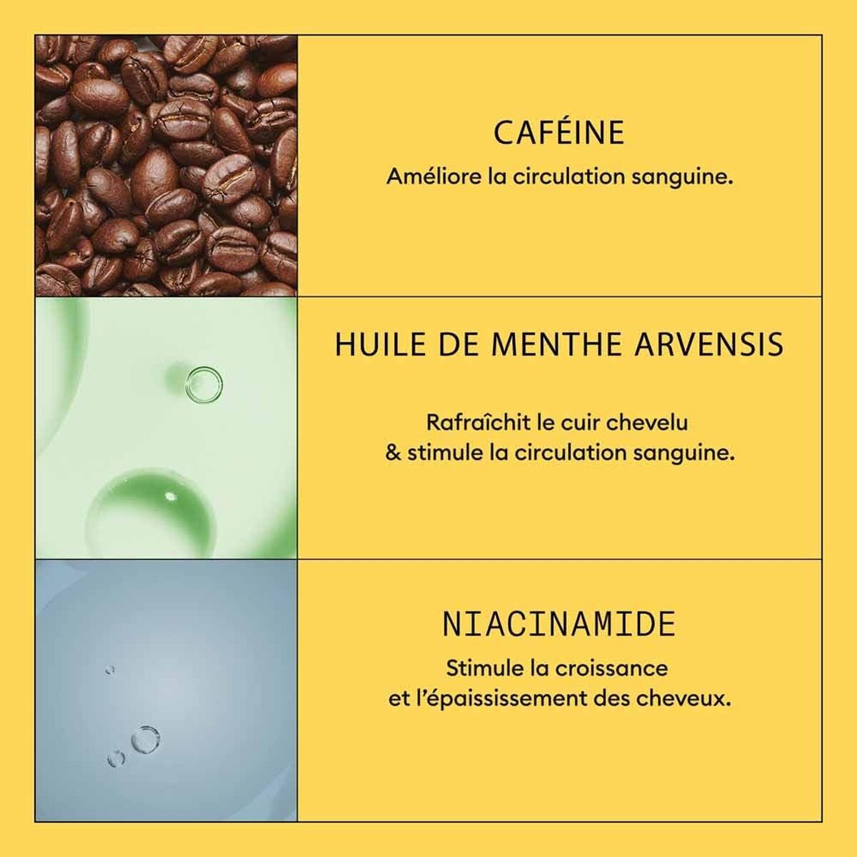 V3HF9551A4D5DFB3BAD97AD0236C393A69FR7522406P5