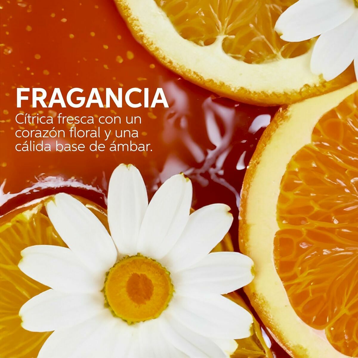 V4H3B6ADC94E251F0C6608265FA16BD5EA9R5607805P10