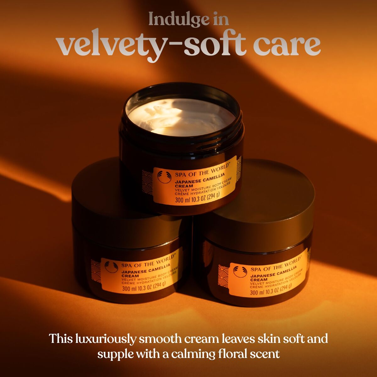 V3H5E2A61CBB60115CBC14D96E045B8D00BR7487059P2