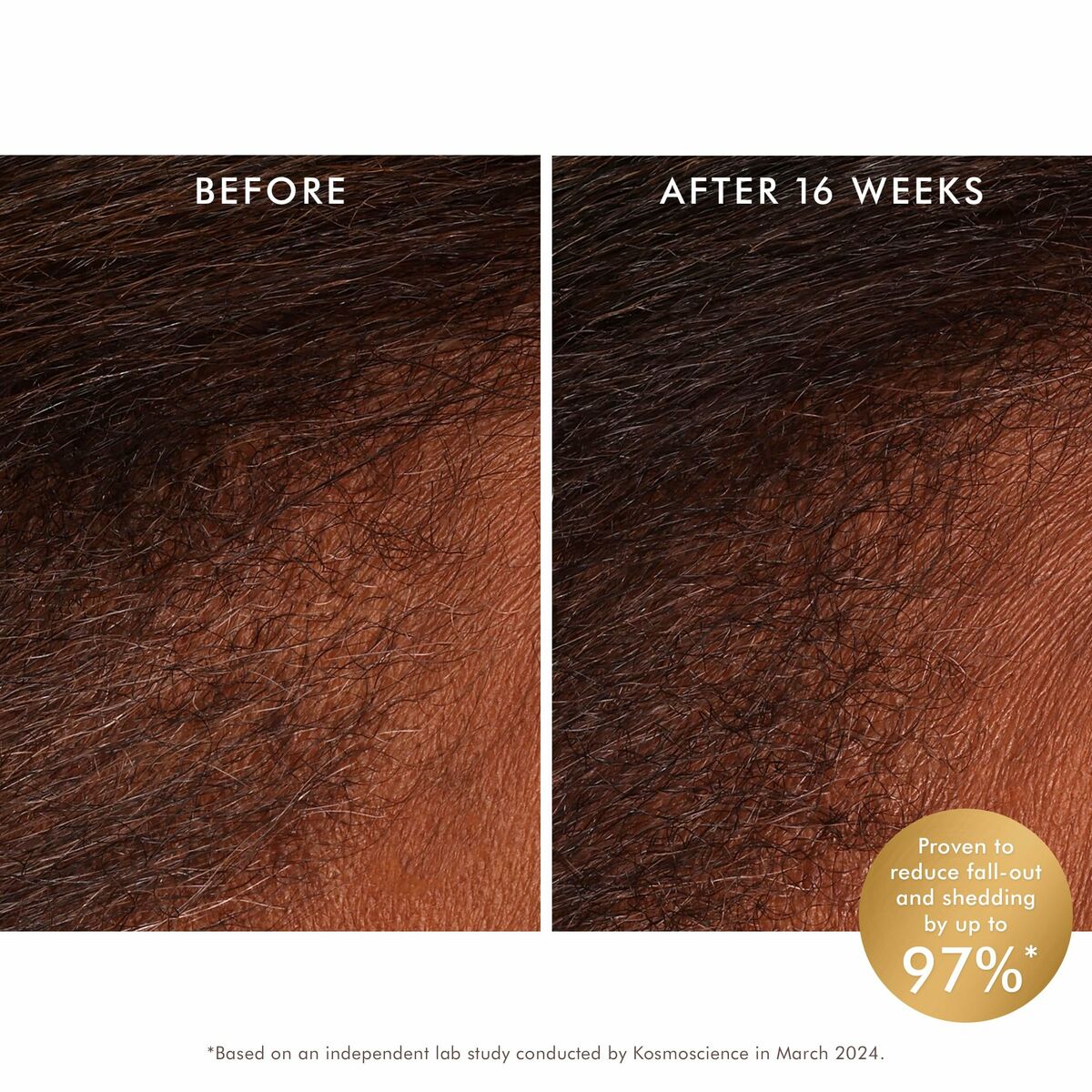 V4H86A0F2337ADBA4AEE51913C057E4A76AR5936068P2