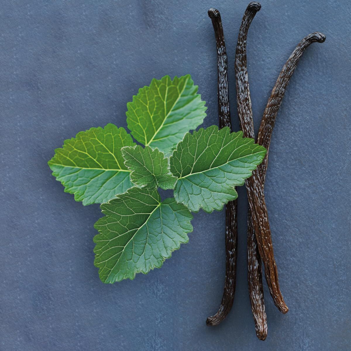 V3HA402E546EAA28395559BCC34333C22B2R7528116P5