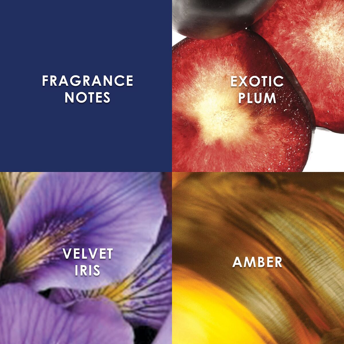 V3HCF42540B07E45912ADDA90099B24DE6AR7526078P4