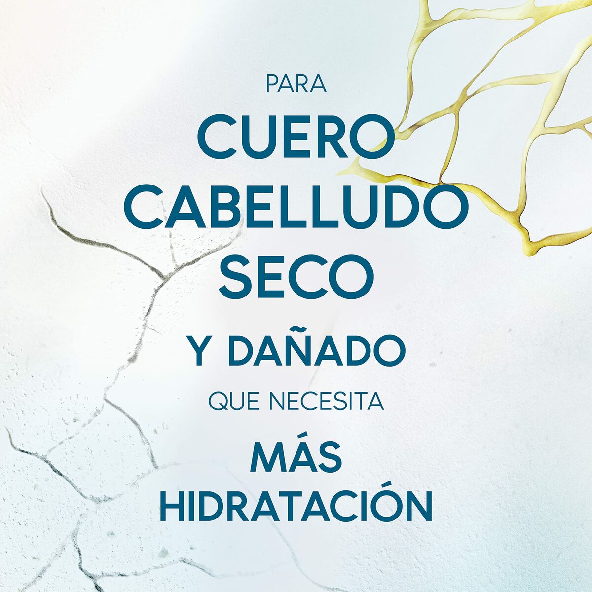 V7HFDC8C79B425FD5AFE8A644D4F24484B3R3652895P4