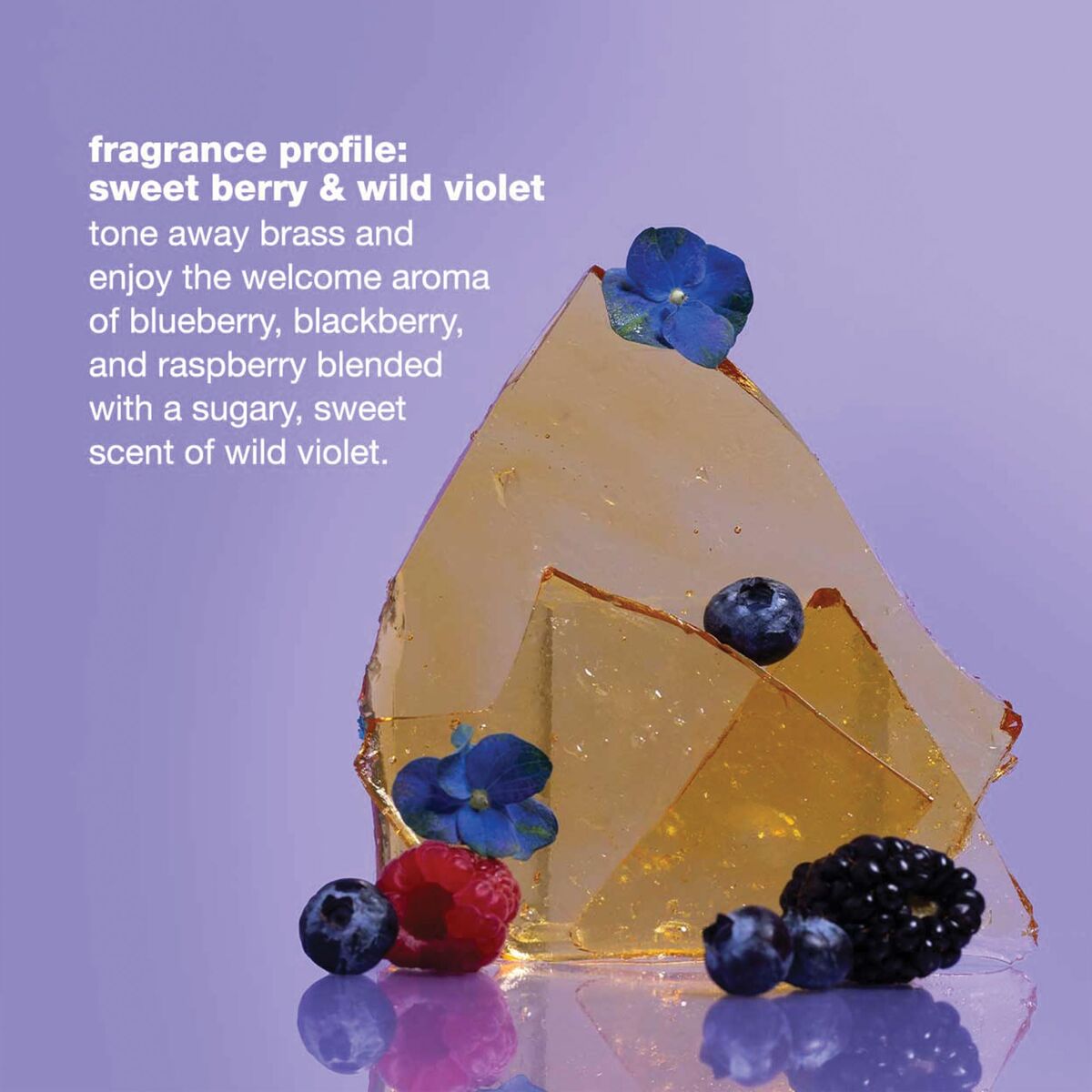 V2H94187A3D5DEF32F4EA5DEF24316696A0R7553075P4