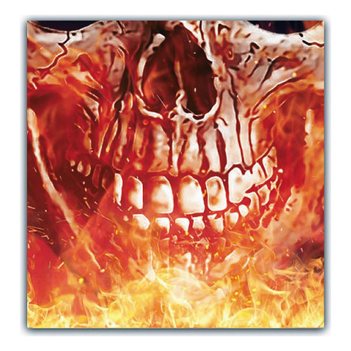 V11H05FDD1BB00568ECB30DC207F35217FB9R3171509P2