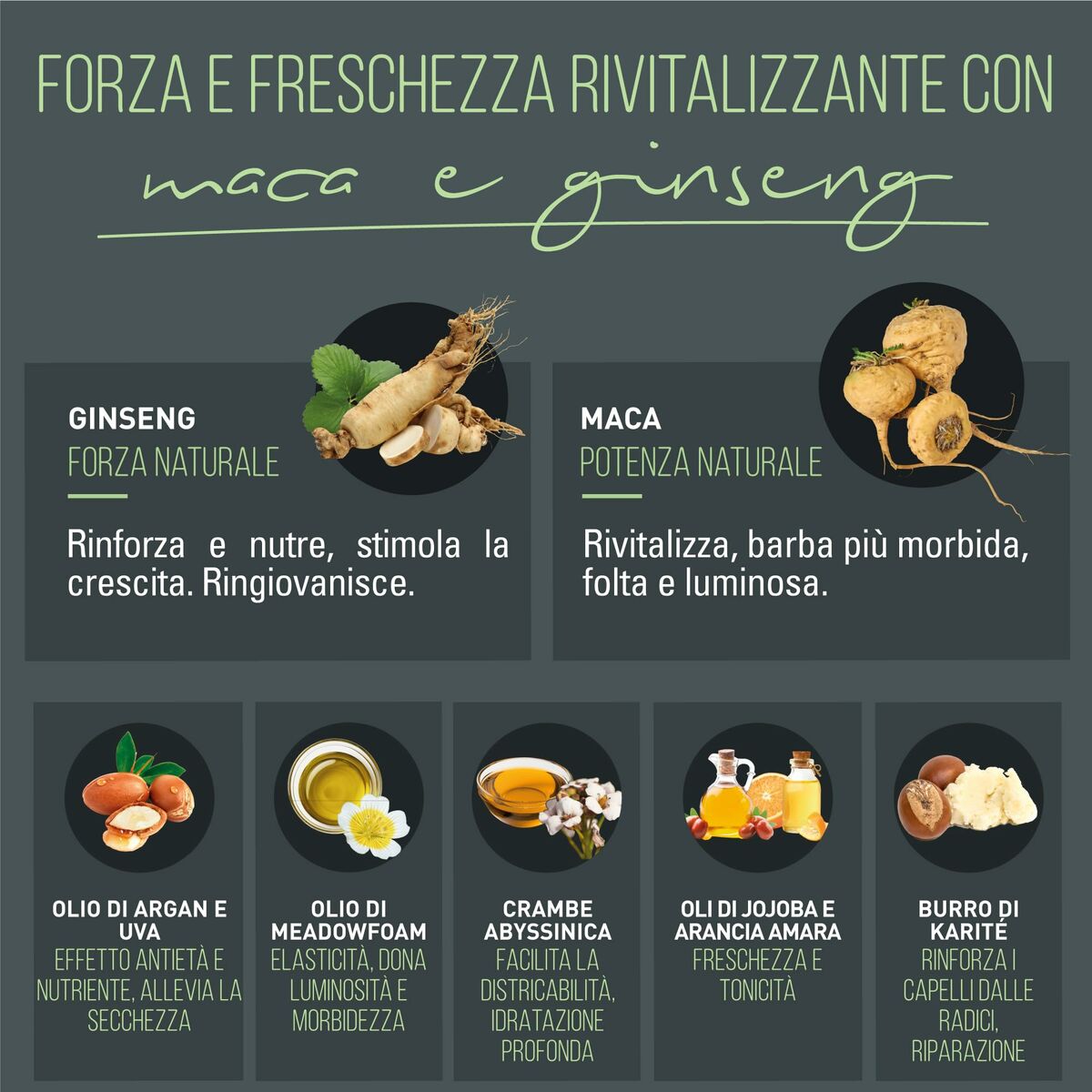 V4HD26361A1AAFECEE33BD02D408A6702B1R6241674P3