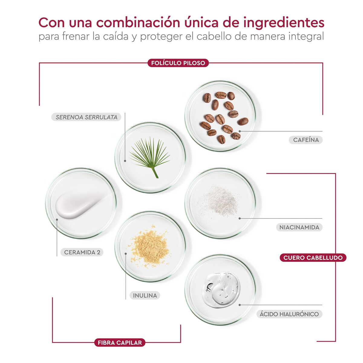 V3HFE82F869C462062CF3952C1F9CB20ED2R7404100P7