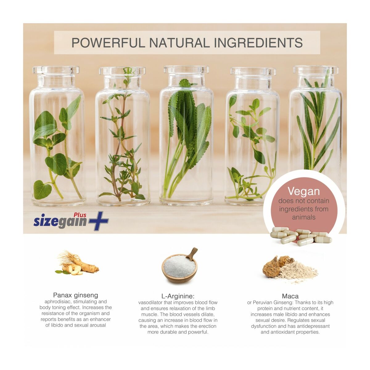 V5H4F2F054B83E356F45835FDBA88AC64C6R4680310P2