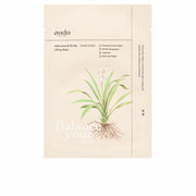 V6HAE1DE5B34D316F221619402B11067611R7395741P1