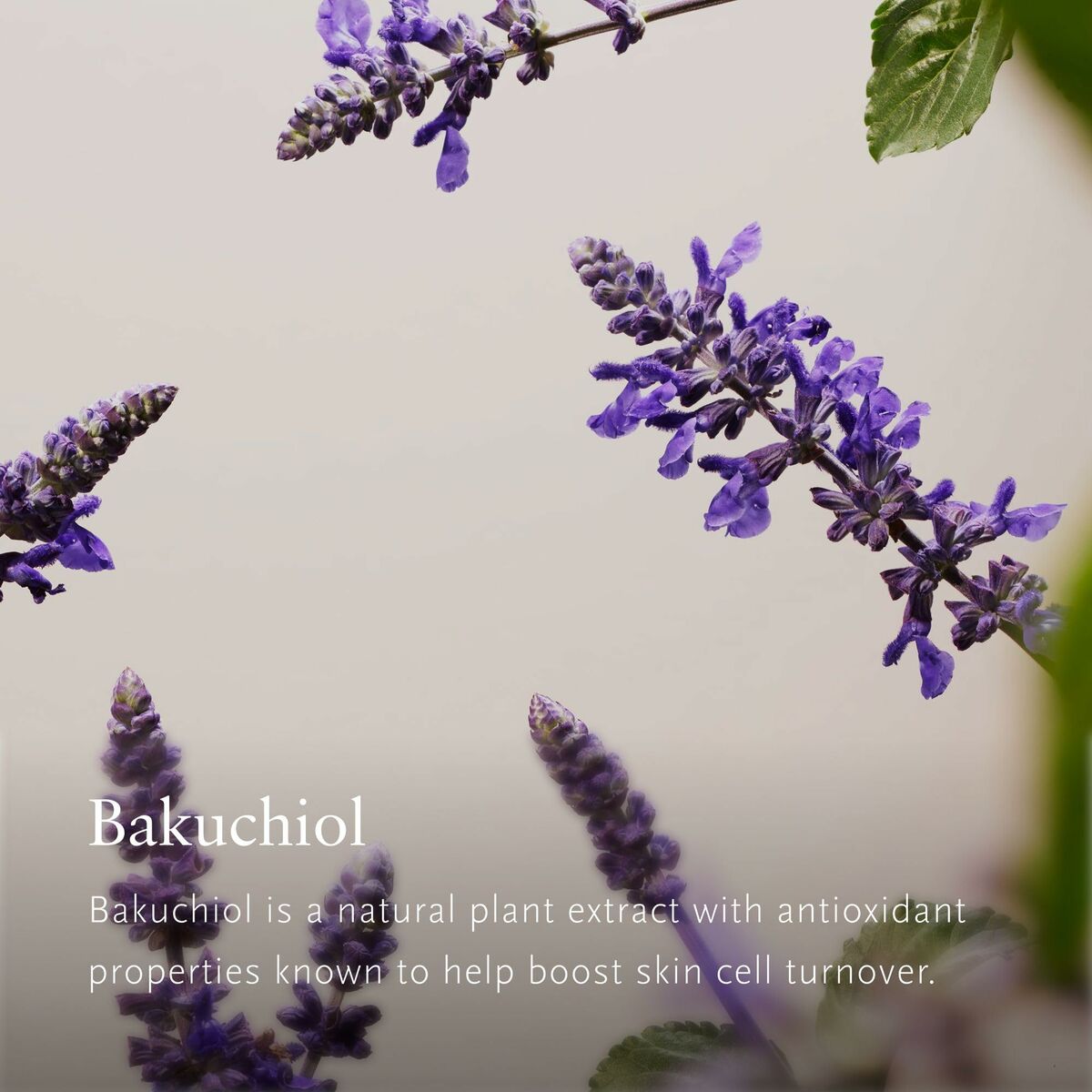 V3H58F1FB9744703CA6755D63616AA42803R6985203P4