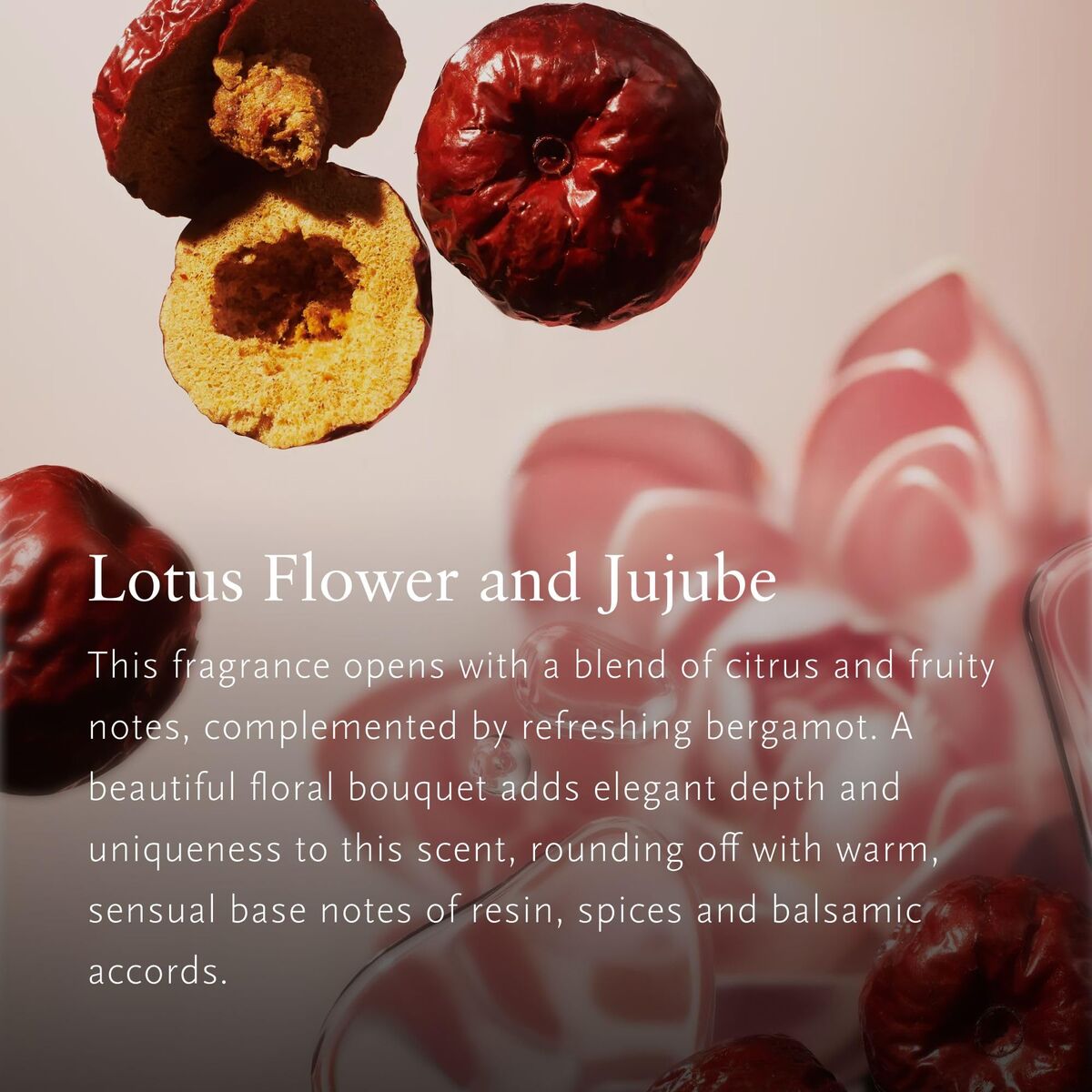 V3H182E6B9B4065572628AB31B2C6732F00R7424638P3