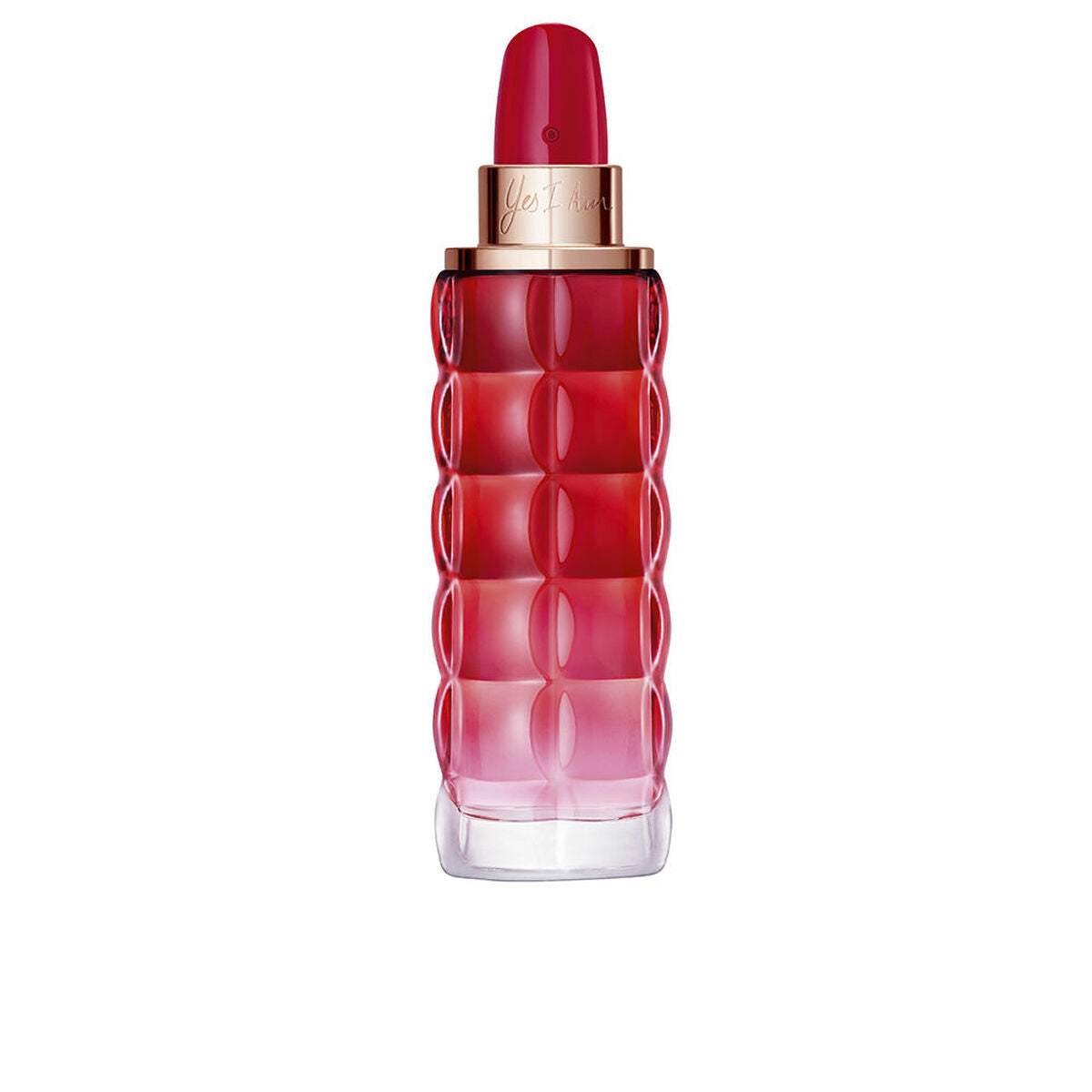 V5HF0179B639CC6B741A44BA65646666B88R7196191P1